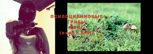 стаф Абдулино